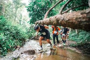 BIB: 
                            <button type="button" onclick="openModal(25375855)" class="btn btn-primary btn-sm float-right btn-popup" data-toggle="modal" data-target=".modal-high-quality">
                        <i class="fas fa-shopping-cart"></i> Add to Cart
                    </button>
                                            <button type="button" onclick="isThisMe(25375855, true)" class="btn btn-success btn-sm float-right btn-popup btn-isme hidden" data-toggle="tooltip" data-placement="bottom" title="นี่คือรูปของคุณใช่ไหม คลิกที่นี่เพื่อเอาเข้าอัลบั้ม">
                        <i class="fas fa-plus"></i> Add to album
                    </button>
                    <button type="button" onclick="isThisMe(25375855, false)" class="btn btn-warning btn-sm float-right btn-popup btn-isnotme hidden">
                        <i class="fas fa-ban"></i> Remove from album
                    </button>